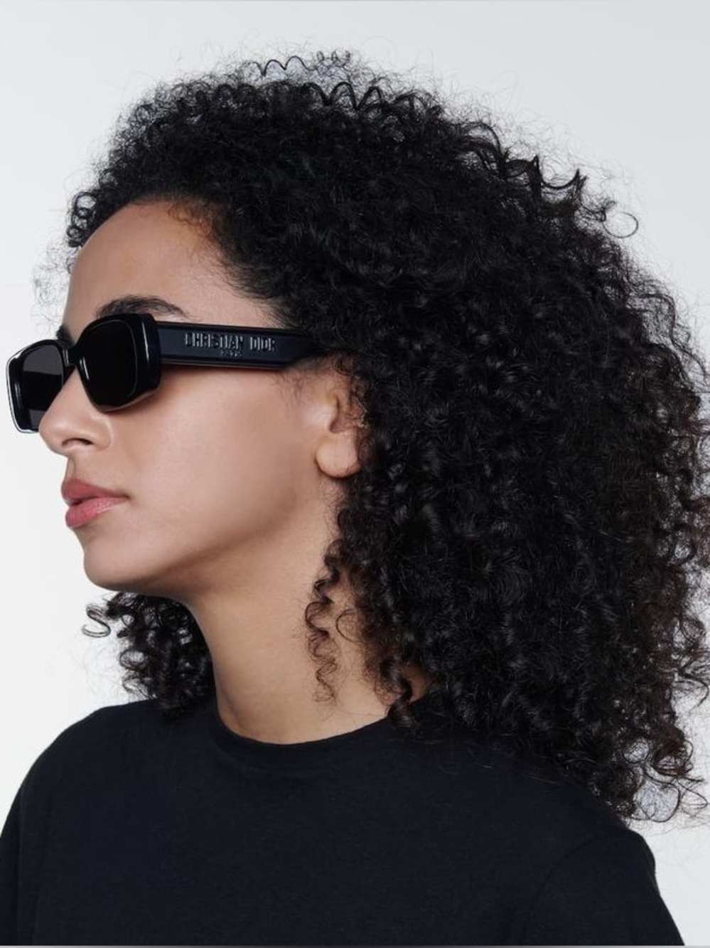 DIOR WilDior S2U SUNGLASSES